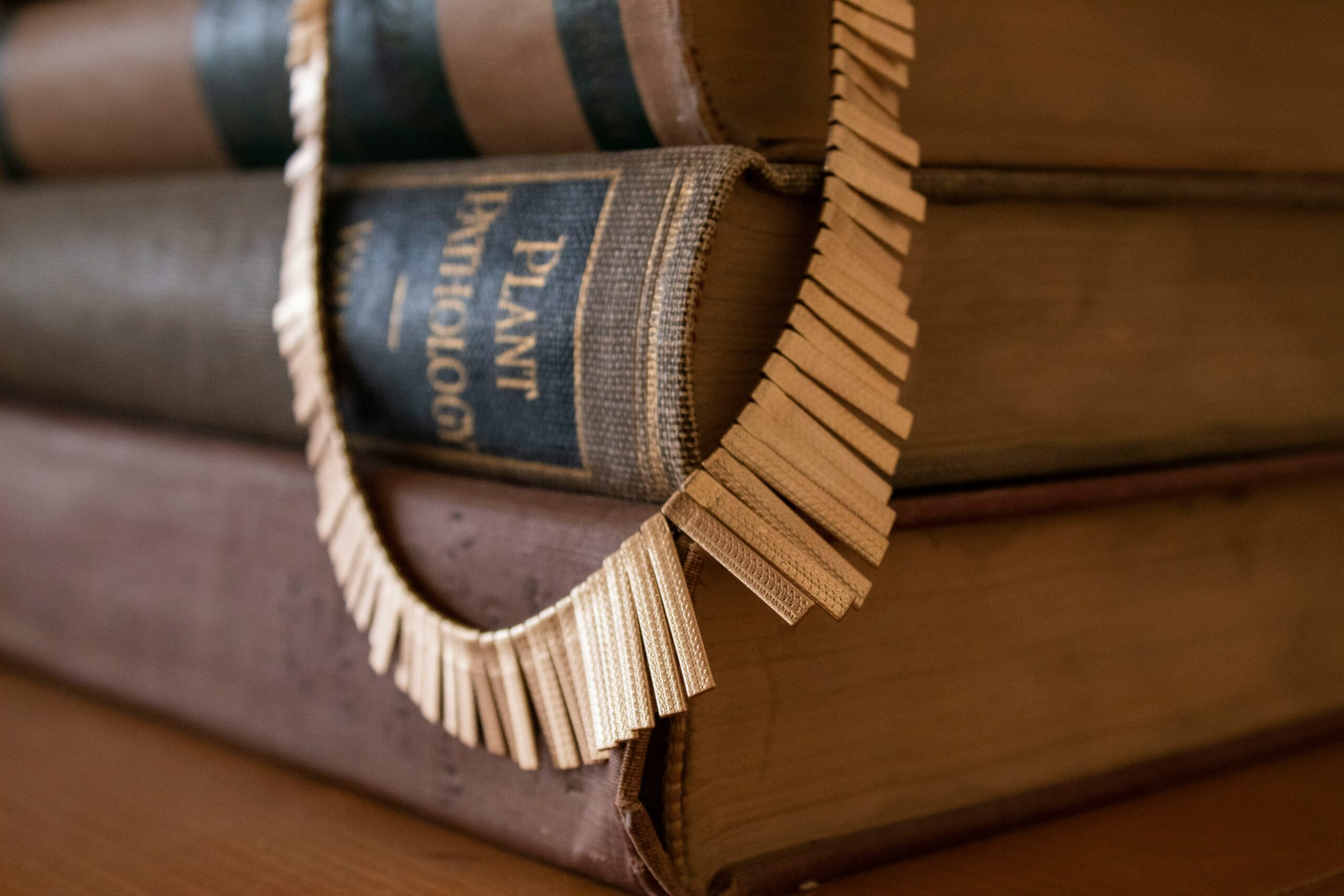 filial laws