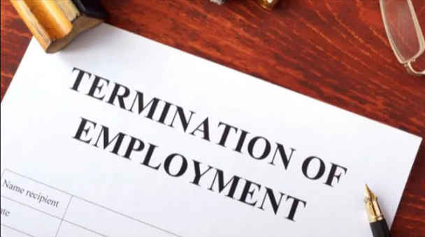 Employment Contracts and Termination Laws
