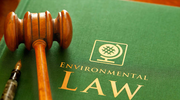 Environmental Law and Sustainable Development