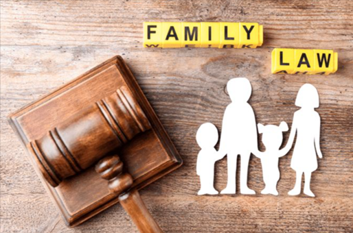 Family Lawyer