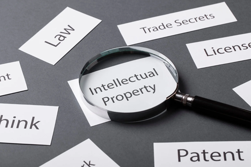Intellectual Property Rights (IPR)