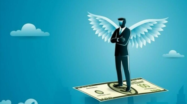 Angel Investment and Venture Capital Laws