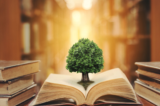 Sustainable Business Practices and Law